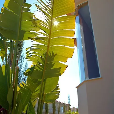 Orange Near Beach With Swimming Pool * 필라